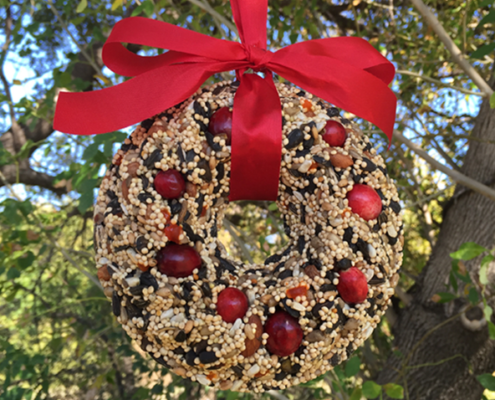 Lakeview Farms Bird Seed Wreath Website