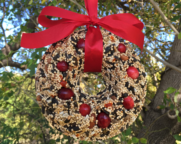 Lakeview Farms Bird Seed Wreath Website