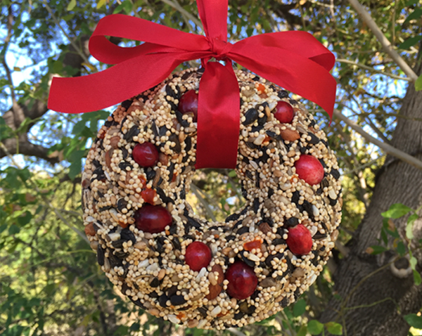 bird food wreath