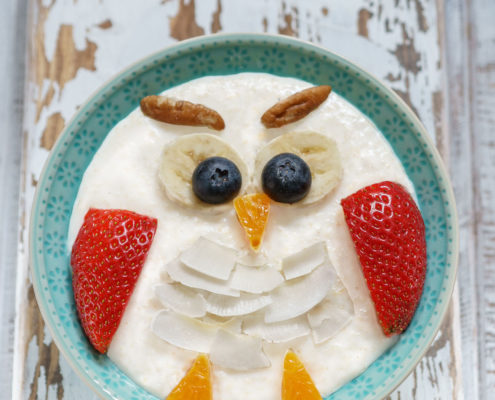 Rice Pudding owl 1