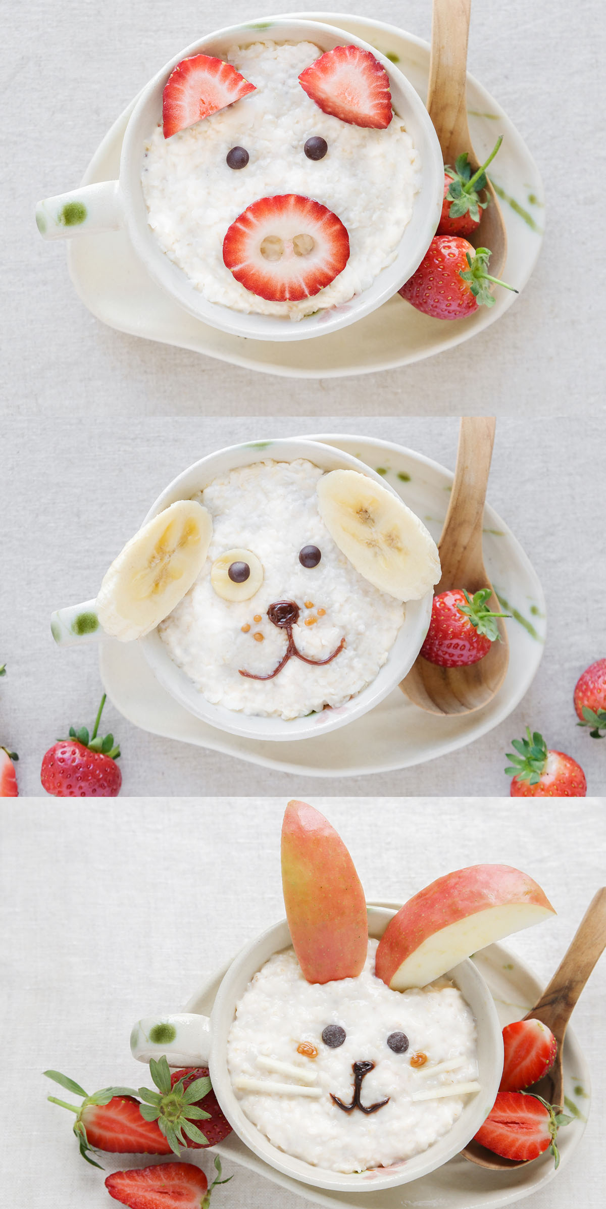 Rice Pudding Fruit Animals all faces